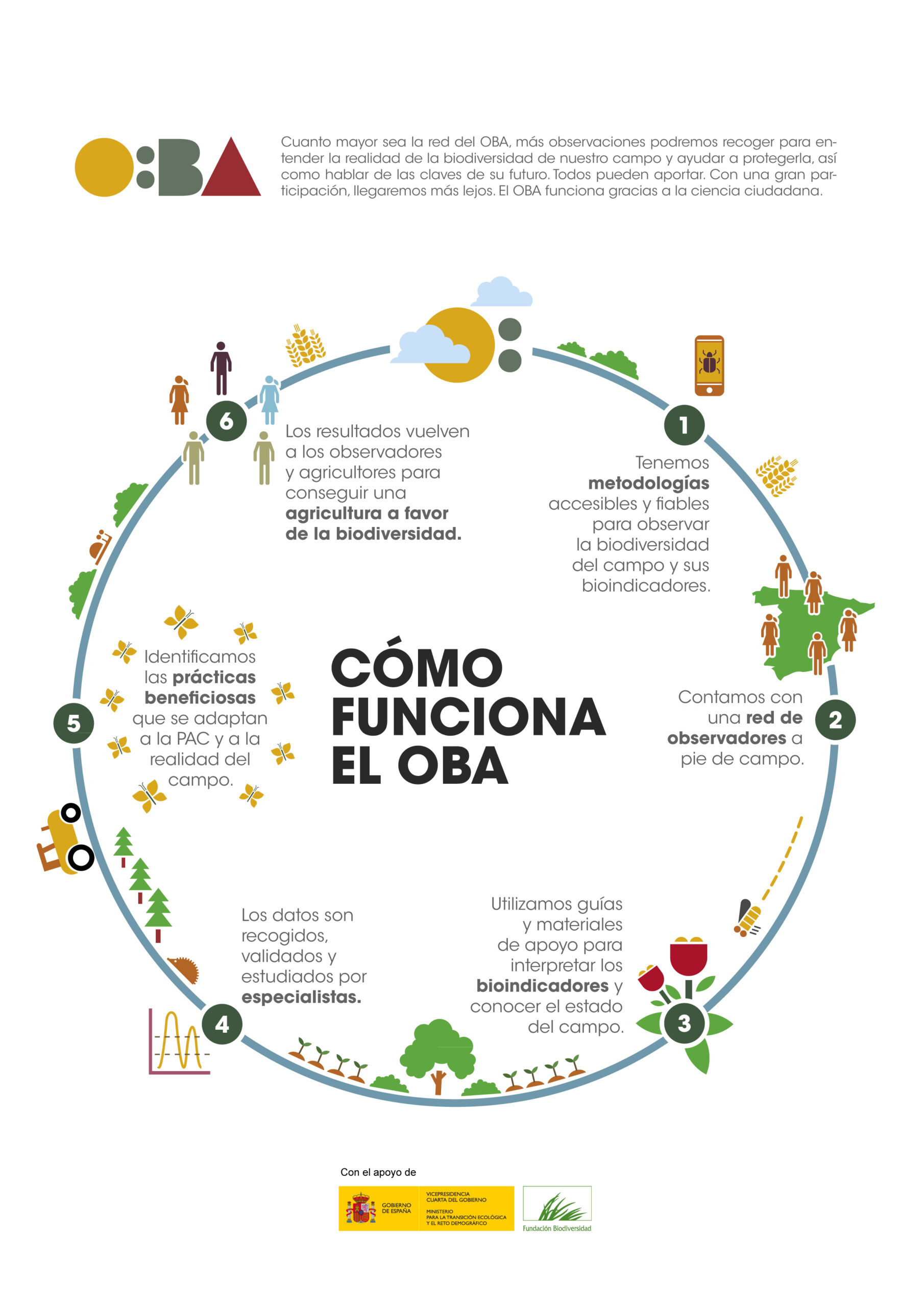 Descubre el OBA - OBA