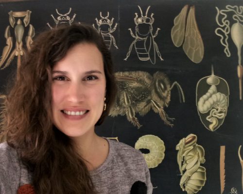 Natalia Rosas, de la Universidad de Salamanca, hablará de la fauna del suelo